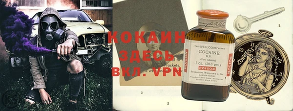 apvp Алзамай