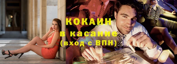 apvp Алзамай