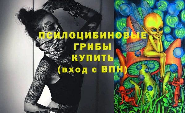 гидра Россошь