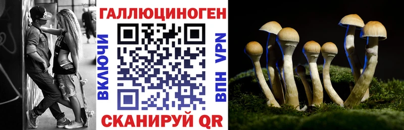 Галлюциногенные грибы прущие грибы  Бронницы 